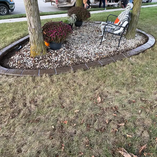 Concrete curb around a rock bed with flowers under a tree